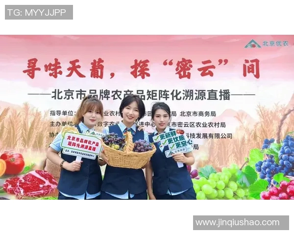 成都篮球队崛起之路：从默默无闻到杯赛荣耀的成长历程