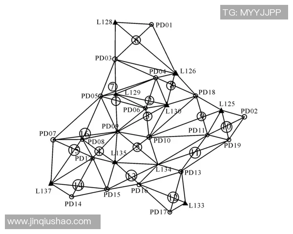 杭州飞盘队的战术解析与控制技巧探讨
